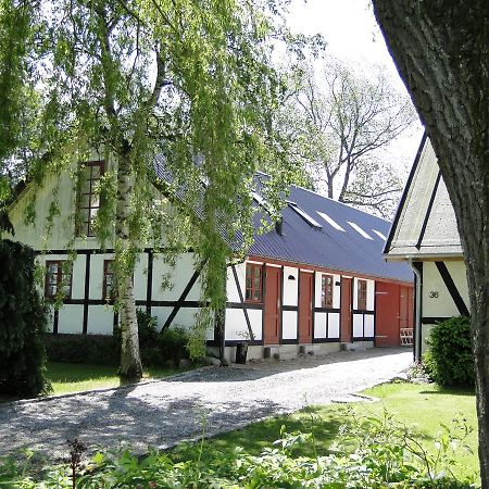 Dyssegaard B&B Skallerup Zewnętrze zdjęcie