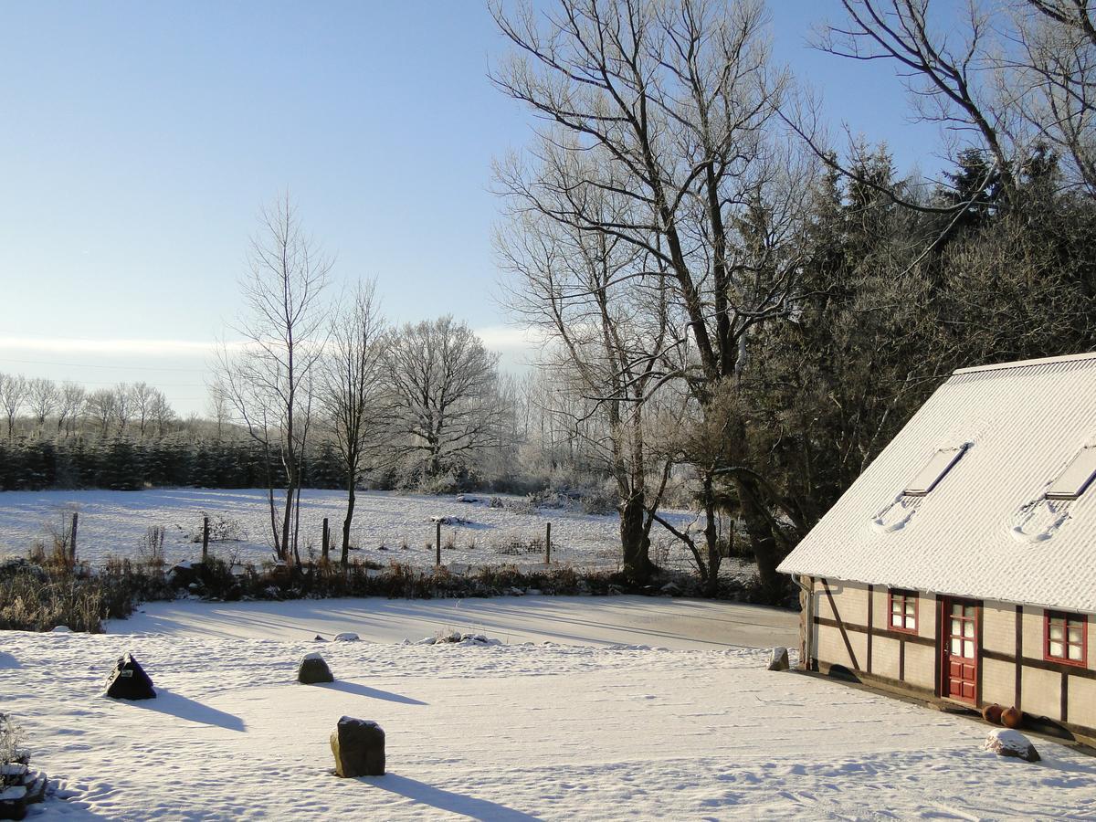 Dyssegaard B&B Skallerup Zewnętrze zdjęcie