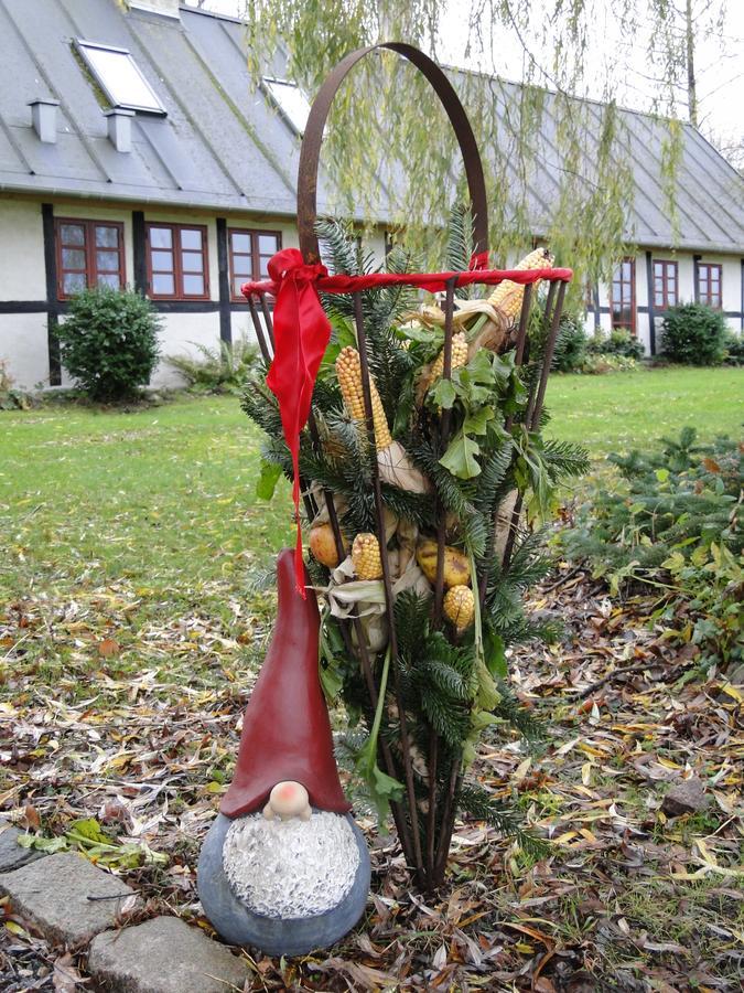 Dyssegaard B&B Skallerup Zewnętrze zdjęcie