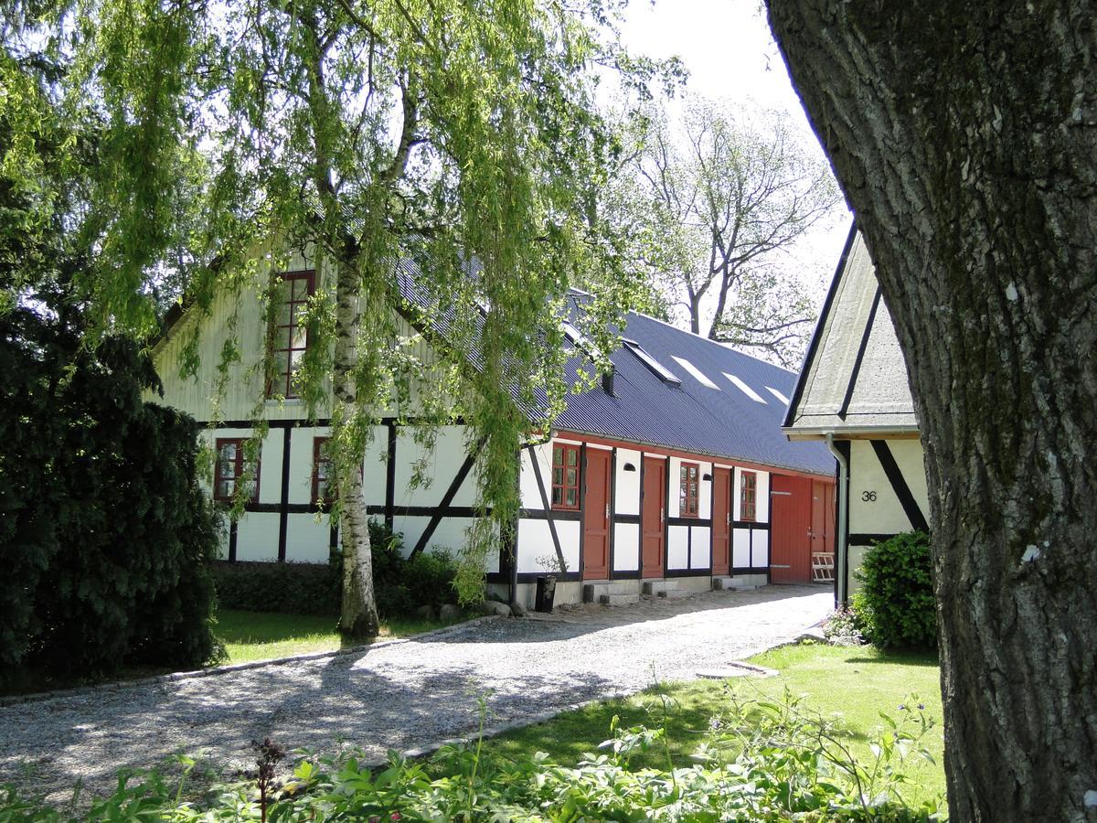 Dyssegaard B&B Skallerup Zewnętrze zdjęcie