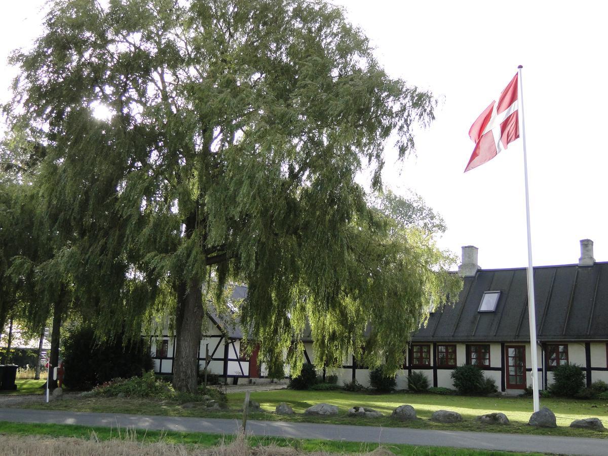 Dyssegaard B&B Skallerup Zewnętrze zdjęcie