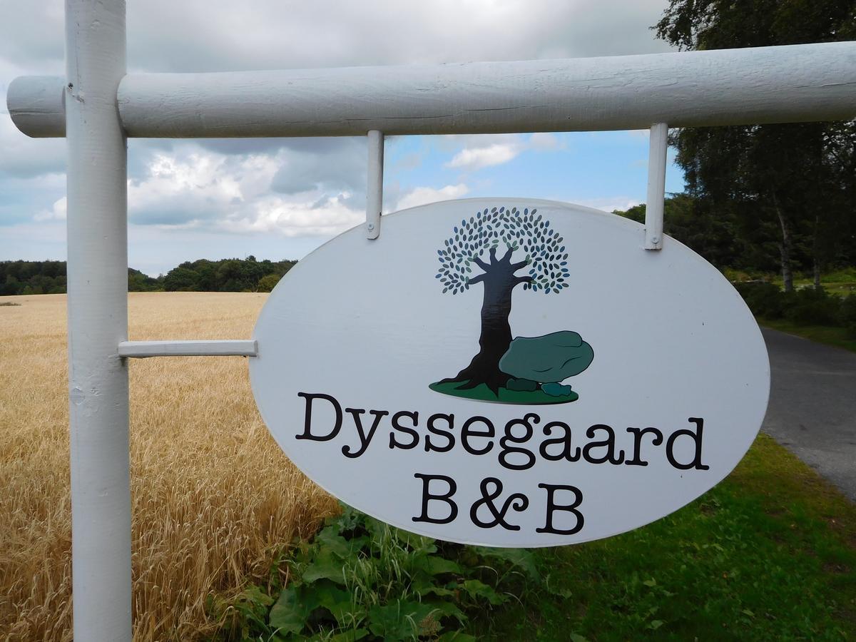 Dyssegaard B&B Skallerup Zewnętrze zdjęcie
